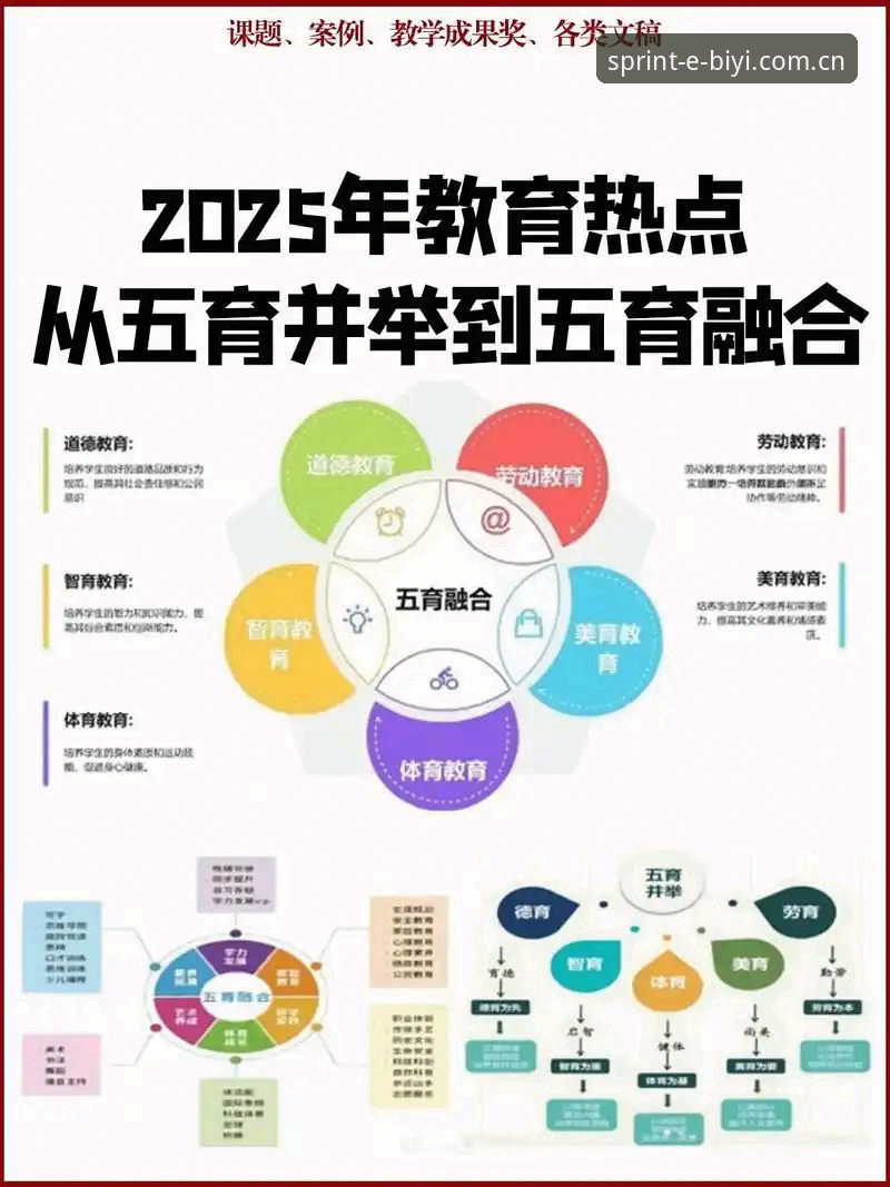 深度揭秘：必一体育官方网站2025版升级背后的创新逻辑